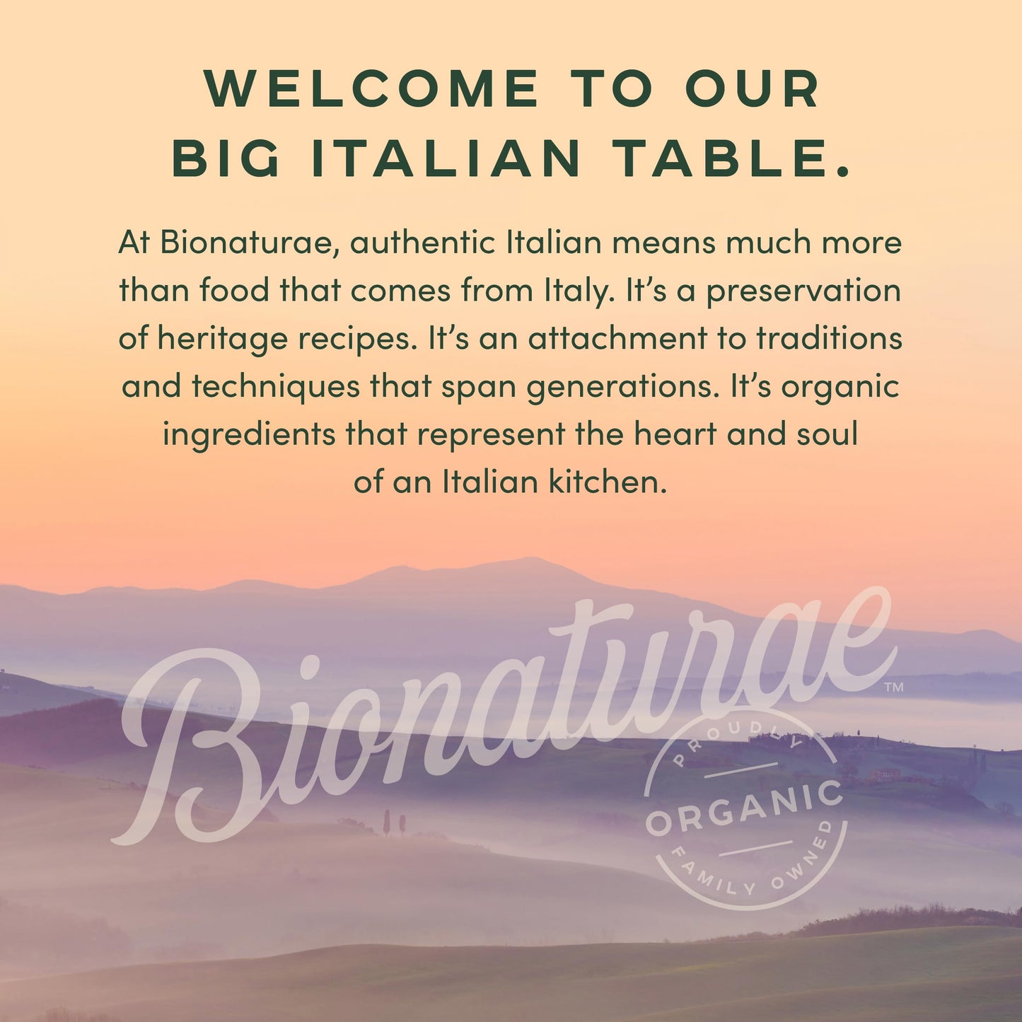 Bionaturae Organic Spaghetti Durum Semolina 16 Oz (Pack of 12)