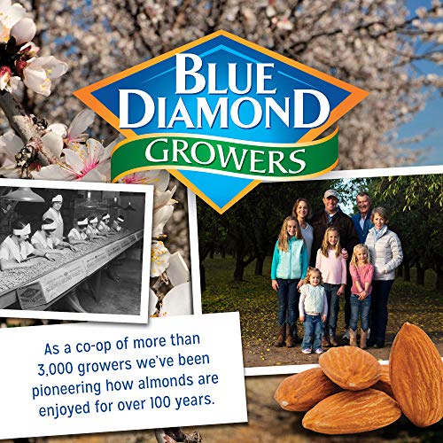Product image of Blue Diamond Almonds Salt N' Vinegar Flavored Snack Nuts Single Serve Bags 1.5 oz 12 ct 1.5 oz Pack of 2