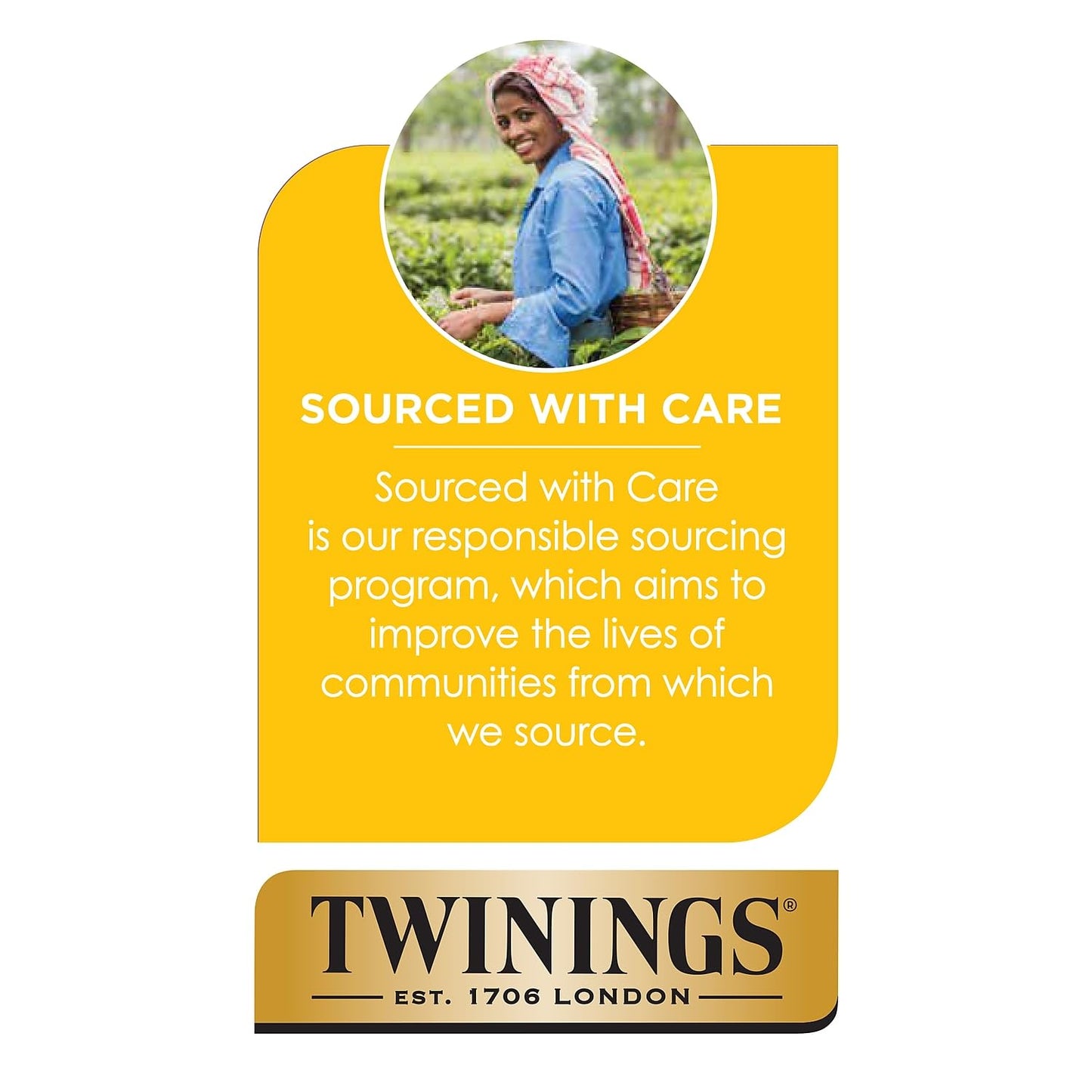Product image of Twinings Green Tea Bags 1.76 oz 25 ct 1.76 oz 25 Count