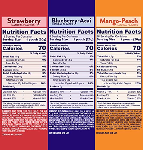 Welchs Zero Sugar Fruity Bites Variety Pack Berries N Cherries Island Fruit Gluten Free Snack Pouches
