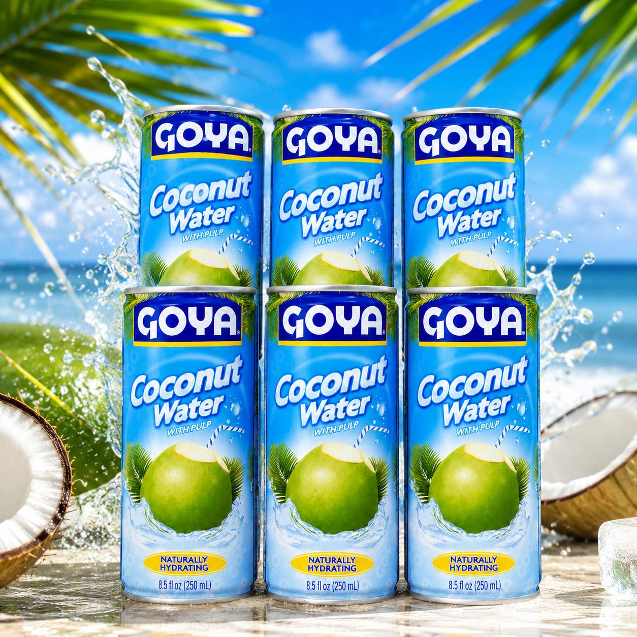 Goya Coconut Water 8.5 fl oz