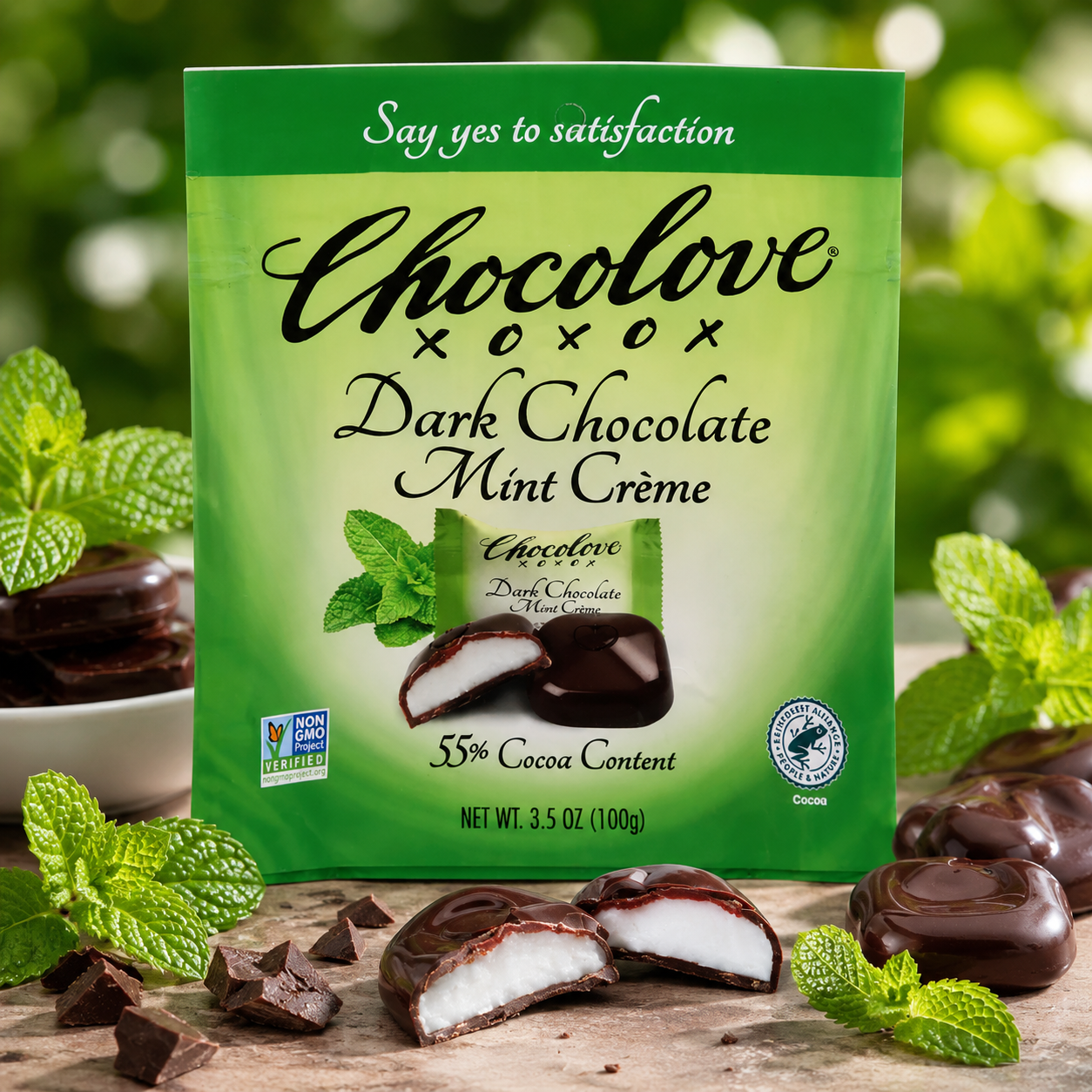CHOCOLOVE Dark Chocolate Mint Cr?me Bites, 3.5 OZ