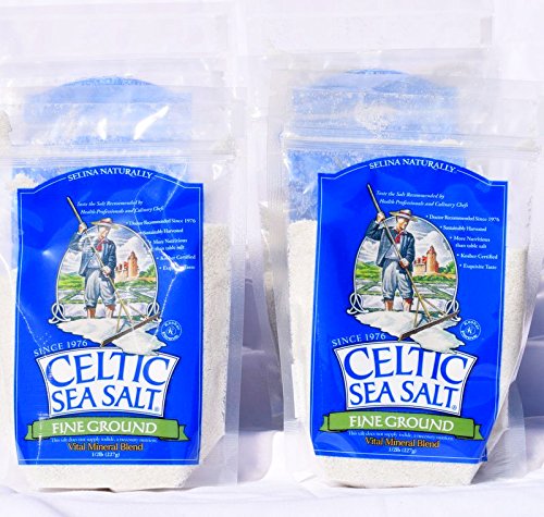 Celtic Sea Salt Fine Ground 8 Ounce Resealable Bag (Pack of 6)