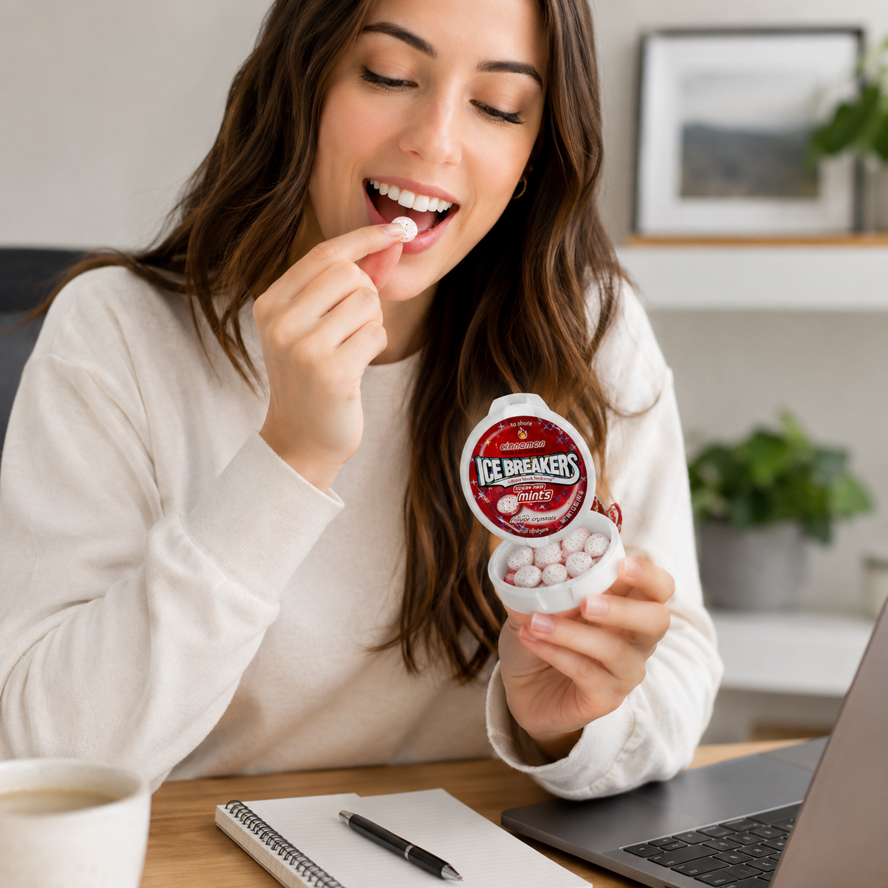 HERSHEY'S Ice Breakers Cinnamon Mints Tins