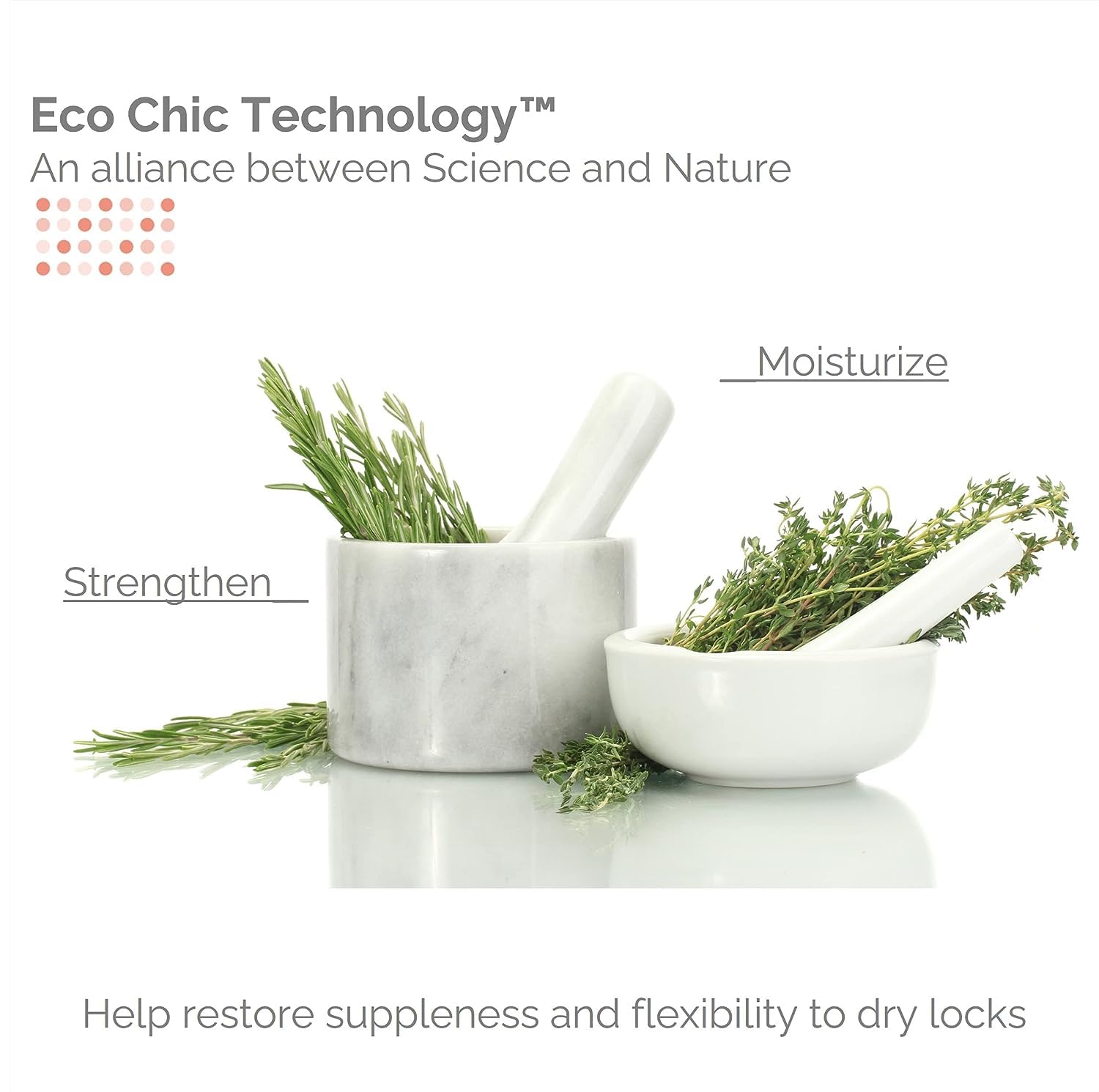 Giovanni Aloe Vera Spearmint ECO CHIC Golden Wheat Deep Cleanse Shampoo Shampoo 8.5 oz