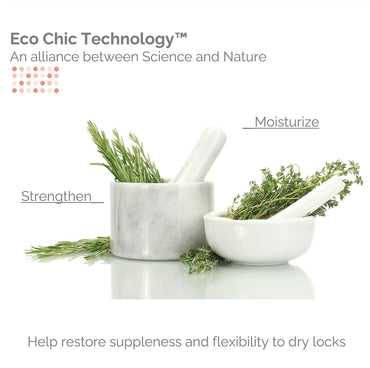 Giovanni Aloe Vera Spearmint ECO CHIC Golden Wheat Deep Cleanse Shampoo Shampoo 8.5 oz