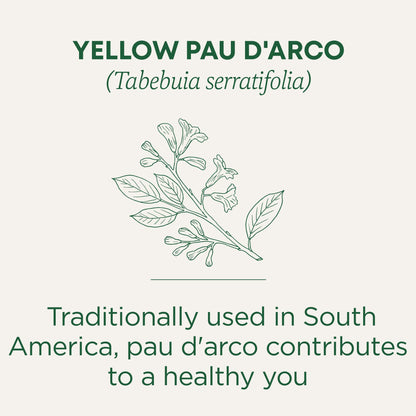 Traditional Medicinals Yellow Pau d'Arco Tea Caffeine-Free Kosher Non-GMO 16 Tea Bags