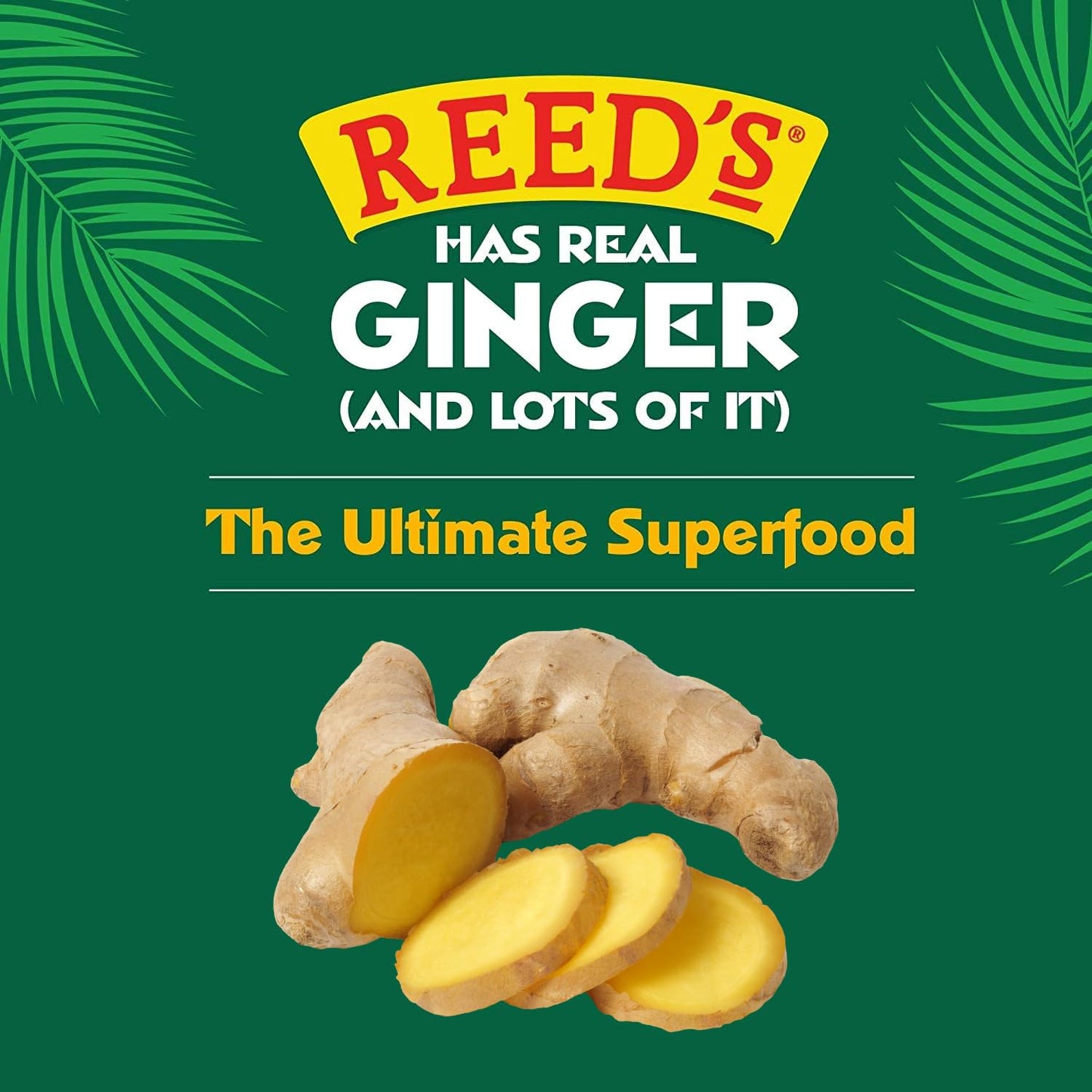 Reed's All Natural Ginger Chews Sweet & Spicy Chewy Candy Individually Wrapped Vegan 2oz Box Bulk (Pack of 20)