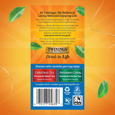 Twinings Cinnamon Apple Winter Spice Herbal Tea Camomile with Apple Cinnamon 20 Count