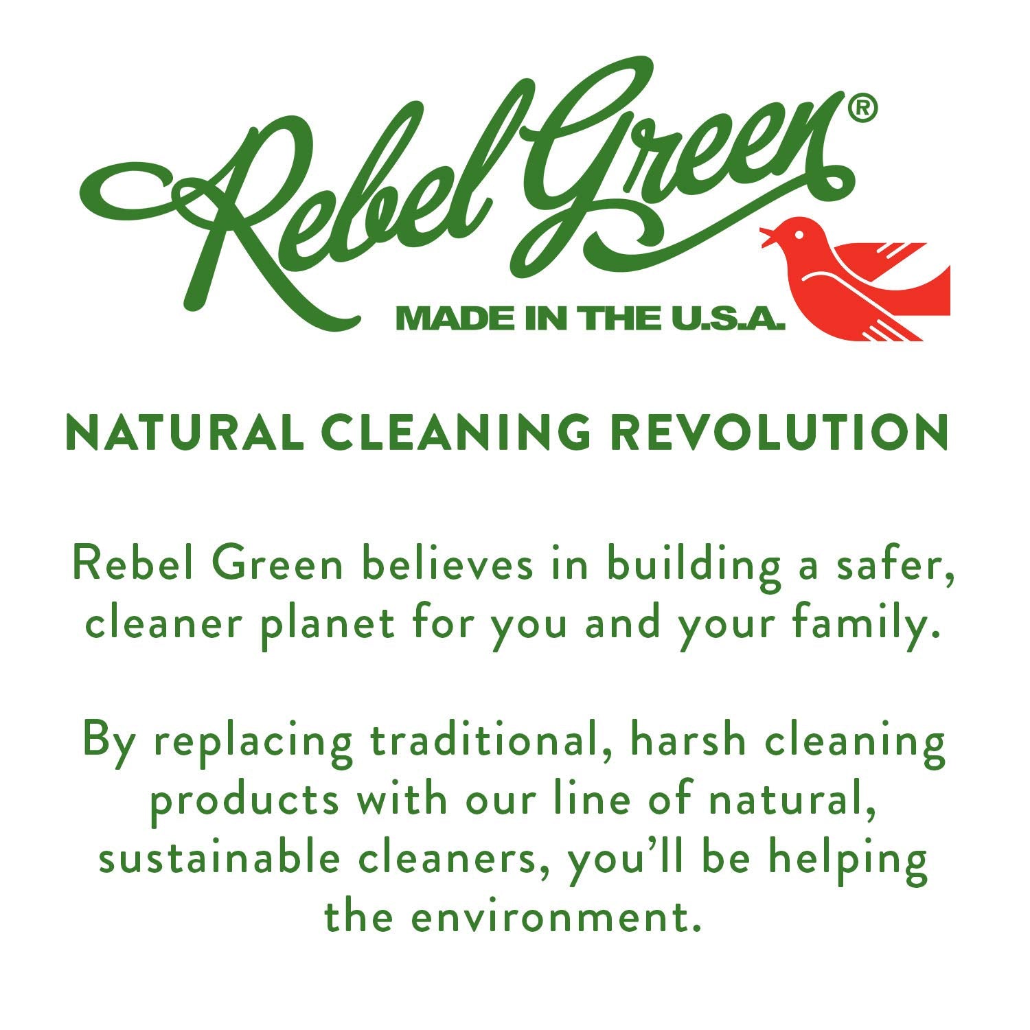 Rebel Green Laundry Detergent Organic Sulfate Free Hypoallergenic Unscented 64 Load
