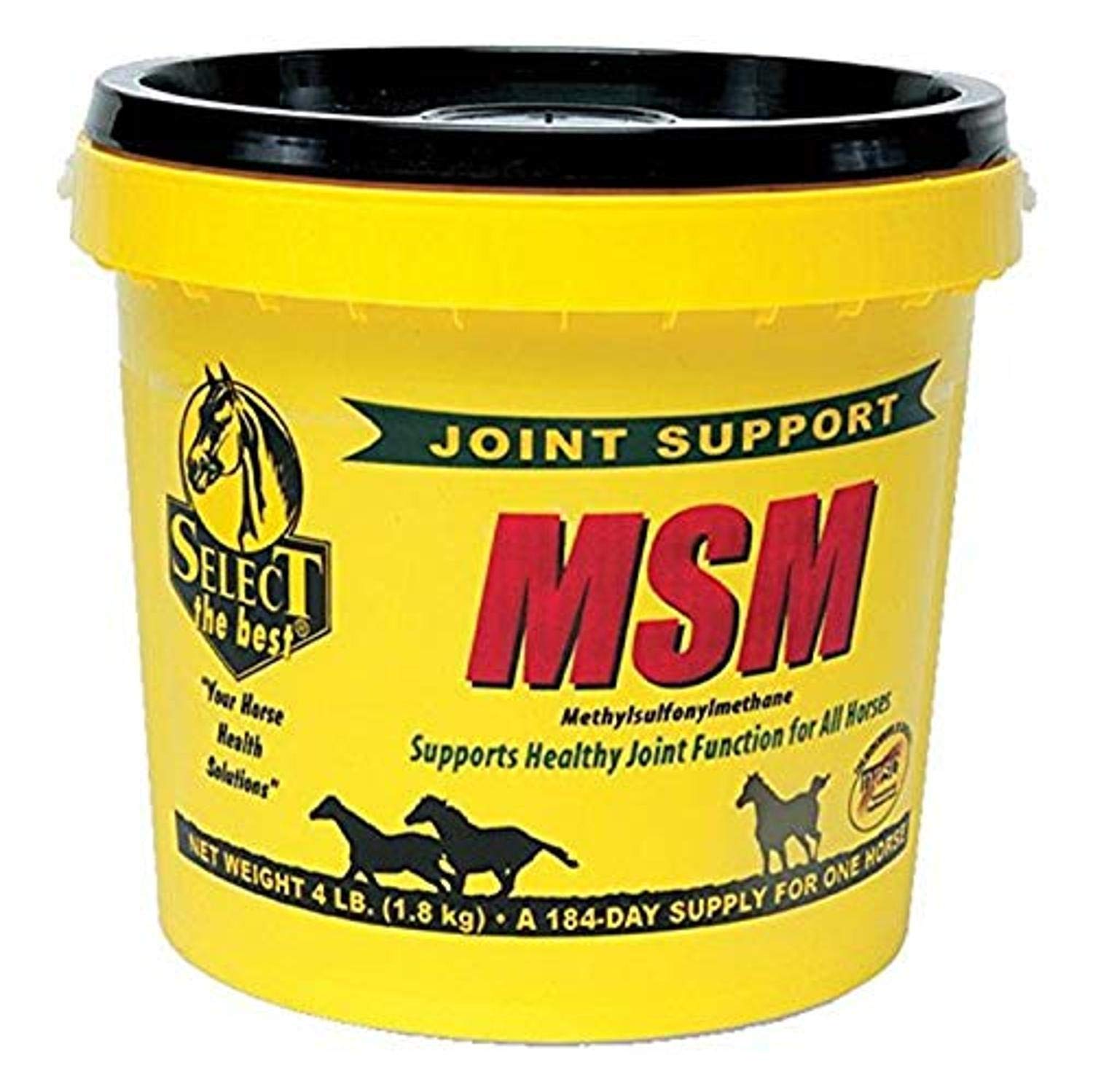 RICHDEL 784299400405 4 lb Msm Powder Joint Support for Horses