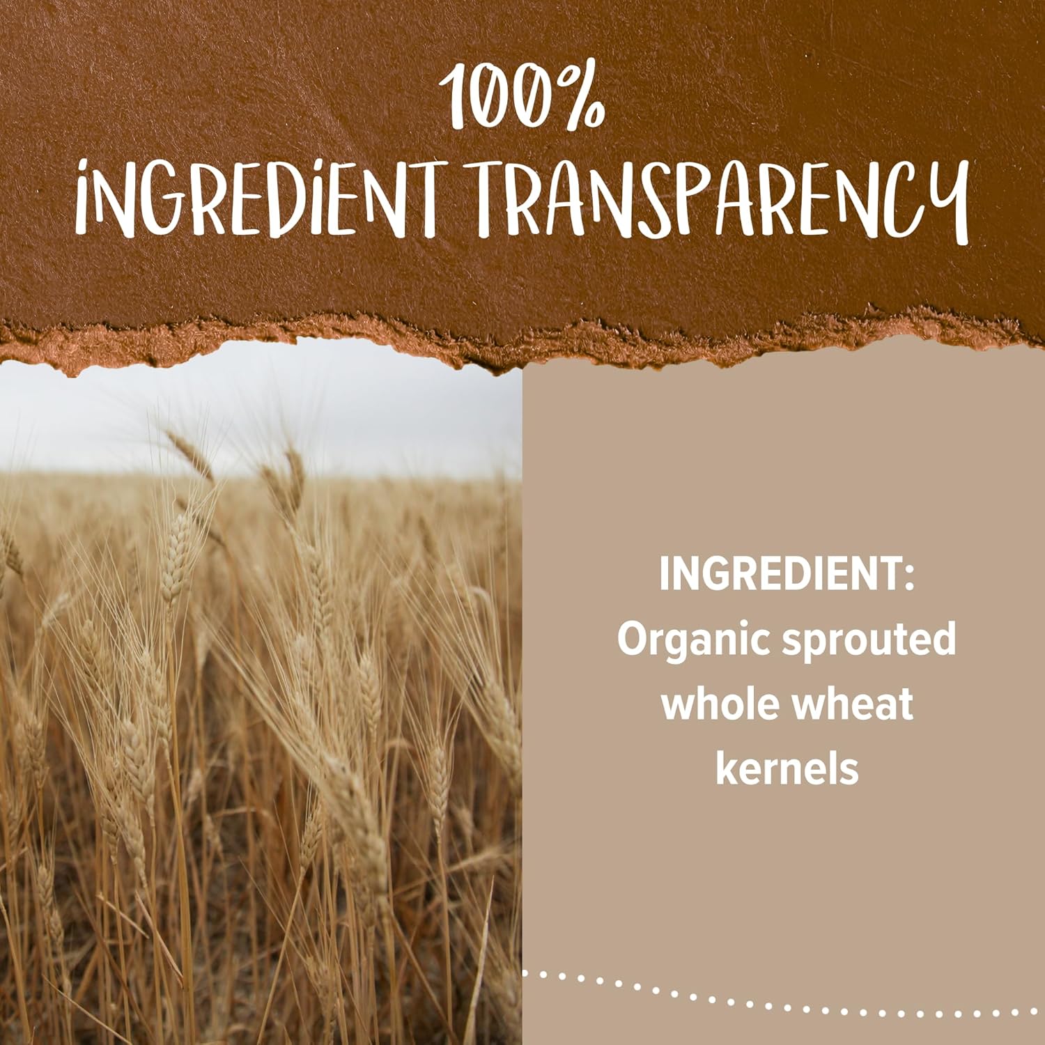 One Degree Organic Foods Organic Sprouted Whole Wheat Flour 32 oz