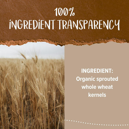 One Degree Organic Foods Organic Sprouted Whole Wheat Flour 32 oz