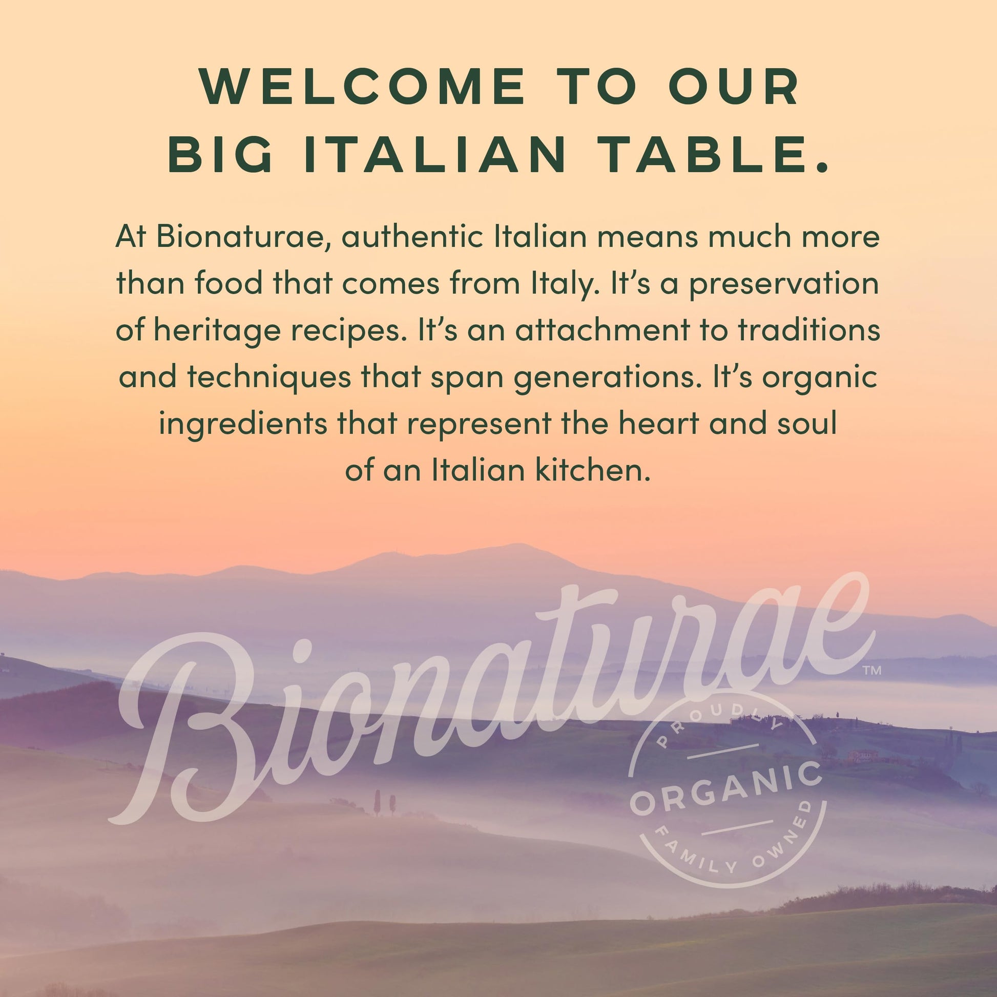 Bionaturae Linguine Pasta Noodles Linguine Rice & Lentil Pasta 12 Oz