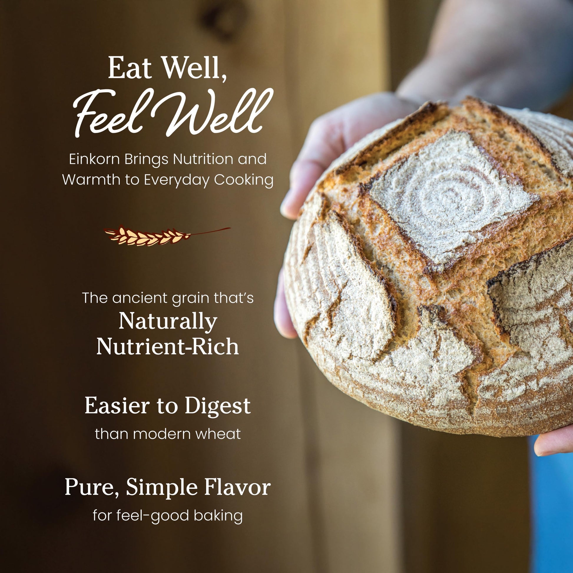Jovial Organic Einkorn Whole Wheat Flour - Bread Baking Flour for Sourdough, High Protein, Non-GMO, For Organic Pizza & Pasta, European Italian Made, Glyphosate Free - 32 Oz, (Pack of 2)