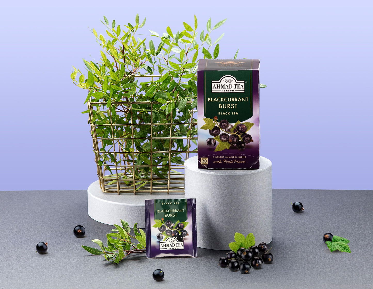 Ahmad Tea Blackcurrant Burst Black Tea 20 Count Boxes