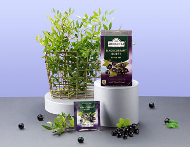 Ahmad Tea Blackcurrant Burst Black Tea 20 Count Boxes