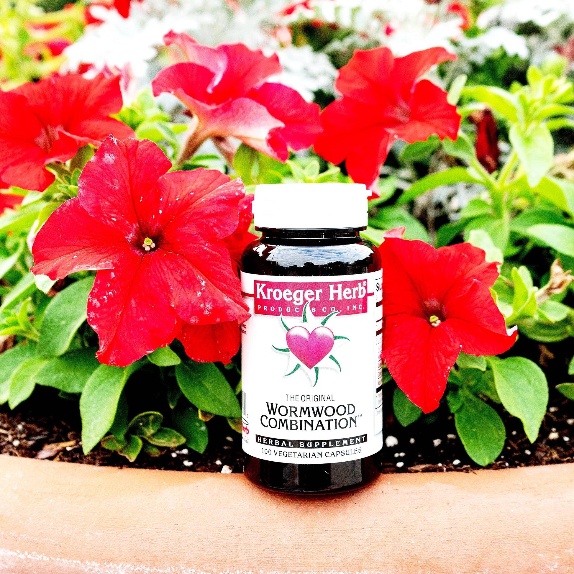 Kroeger Herb Herb Wormwood Combination Vegetarian Capsules 100 Count
