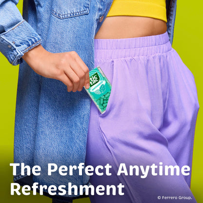 Tic Tac Wintergreen On the Go Breath Mints Pocket Sized 1.7 oz