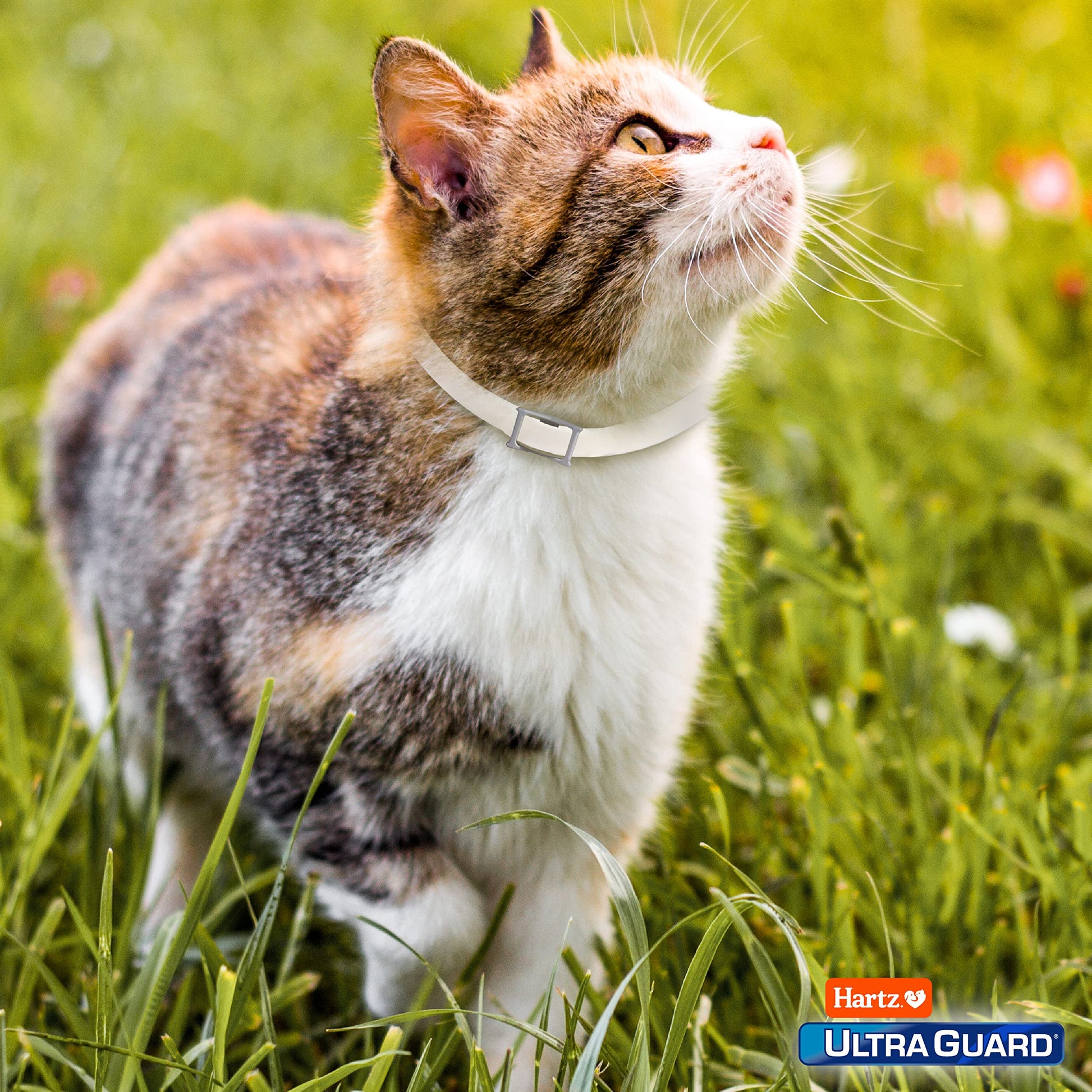 Product image of Hartz UltraGuard Plus Flea and Tick Collar for Cats Water Resistant Breakaway 7 Month Protection