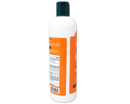 Product image of JASON Dandruff Relief Treatment Shampoo 12 oz 12 oz Pack of 2