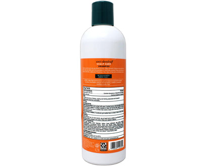 Product image of JASON Dandruff Relief Treatment Shampoo 12 oz 12 oz Pack of 2