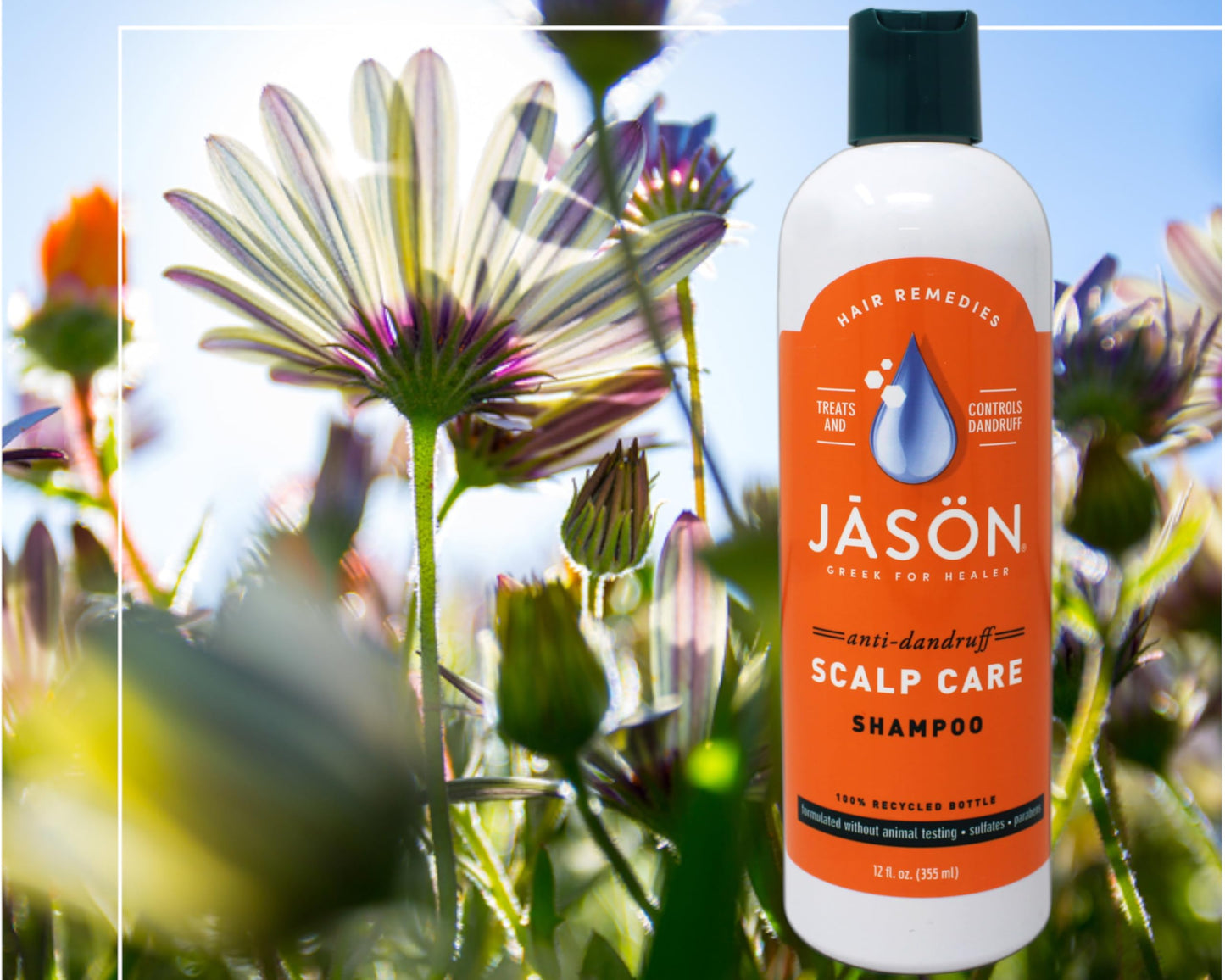 Product image of JASON Dandruff Relief Treatment Shampoo 12 oz 12 oz Pack of 2