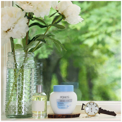Product image of POND'S Dry Skin Cream Rich Hydrating Facial Moisturizer 3.9 oz 3.9 oz