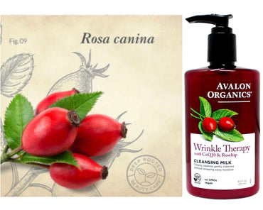 Product image of Avalon Organics CoQ10 Facial Cleansing Milk 8.5 fl oz 8.5 fl oz Pack of 2