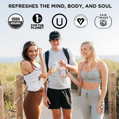 Product image of Steaz Organic Green Tea Blueberry Pomegranate Antioxidant Brew Natural Caffeine 90 Calories Vitamin C Cane