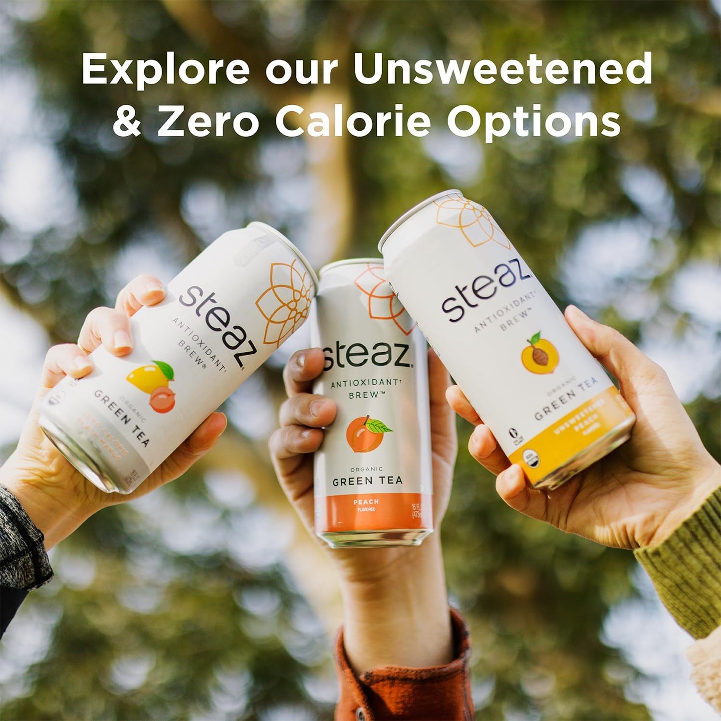 Product image of Steaz Organic Green Tea Blueberry Pomegranate Antioxidant Brew Natural Caffeine 90 Calories Vitamin C Cane