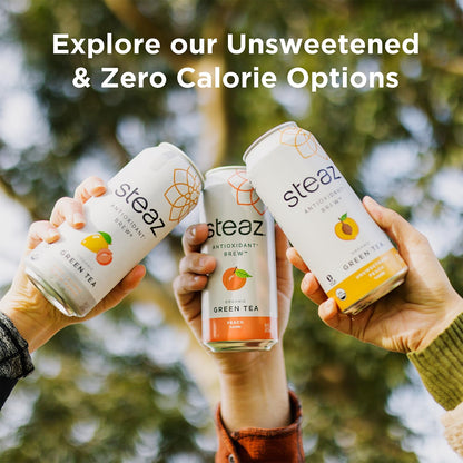 Product image of Steaz Organic Green Tea Blueberry Pomegranate Antioxidant Brew Natural Caffeine 90 Calories Vitamin C Cane