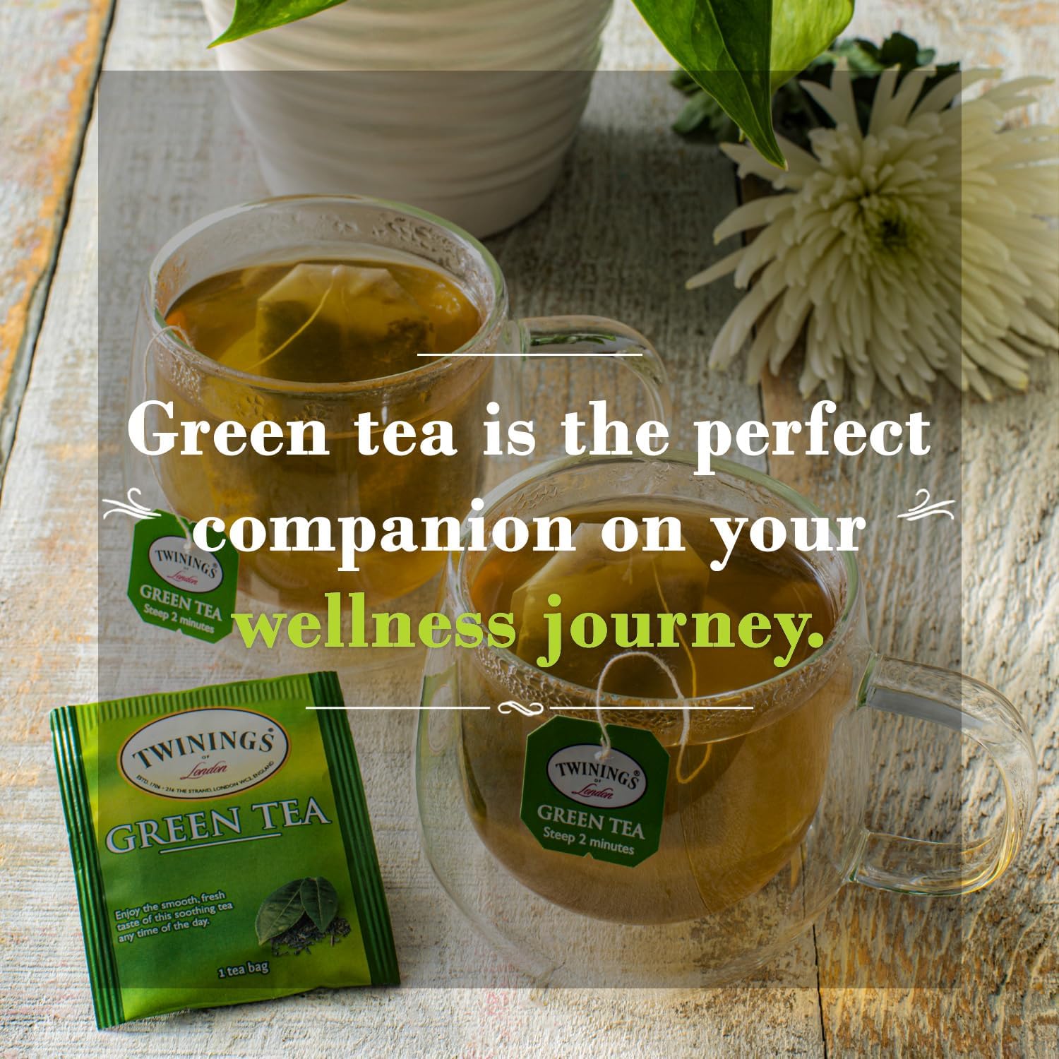 Product image of Twinings Green Tea Tea Bags Caffeinated 50 ct 50 Count
