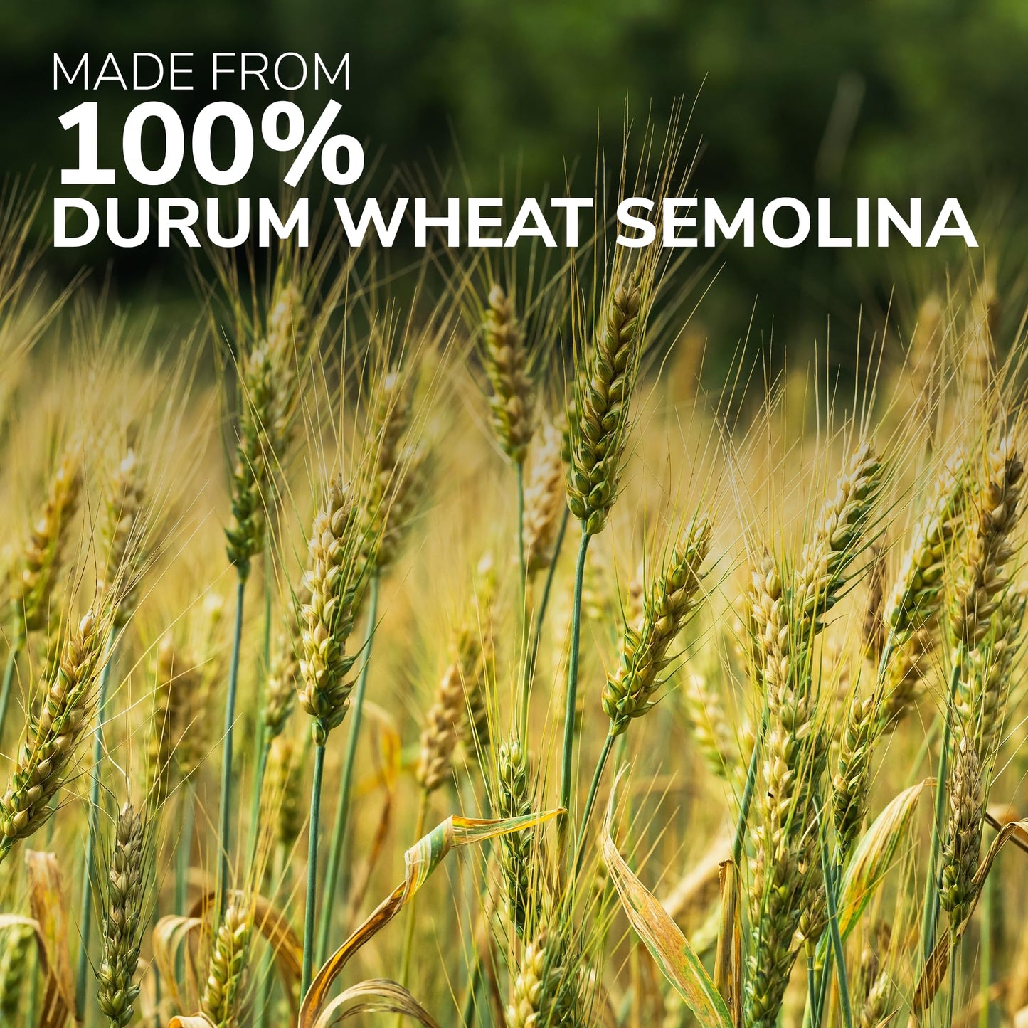 Product image of GAROFALO Premium Durum Wheat Semolina Capellini Angel Hair Pasta Italian Made Bronze-Drawn Al-Dente