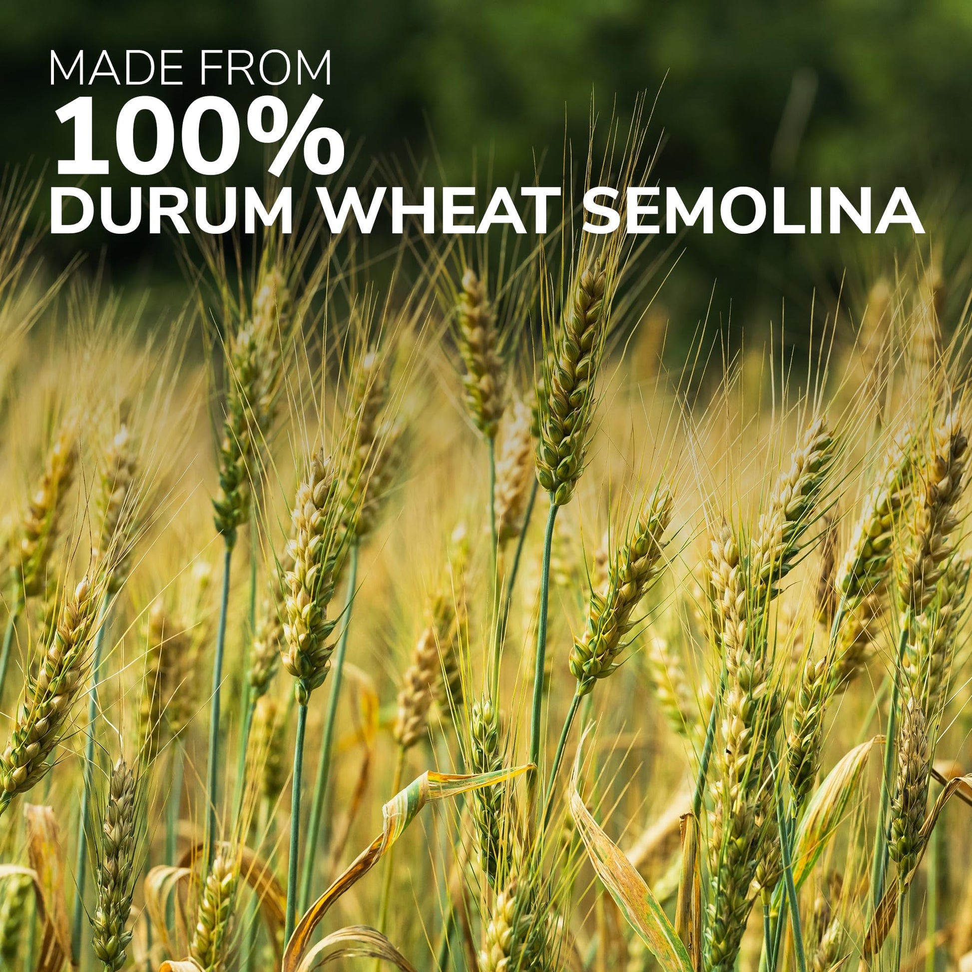 Product image of GAROFALO Premium Durum Wheat Semolina Capellini Angel Hair Pasta Italian Made Bronze-Drawn Al-Dente