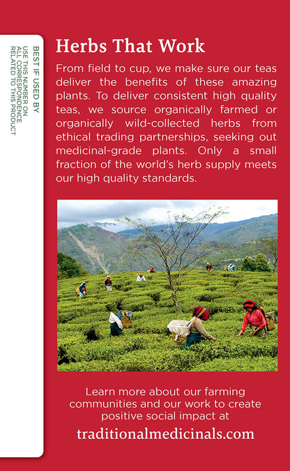 Product image of Traditional Medicinals Organic Echinacea Plus Spearmint Herbal Tea Immune Function Support 48 Tea Bags Total