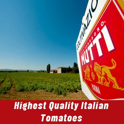 Product image of Mutti Double Concentrated Tomato Paste Tube Vegan Friendly Gluten Free No Additives or Preservatives 4.5 oz