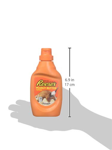 Product image of HERSHEY'S Reese's Peanut Butter Topping 7 oz 7 oz