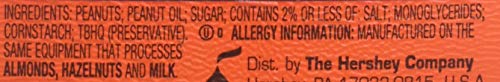 Product image of HERSHEY'S Reese's Peanut Butter Topping 7 oz 7 oz
