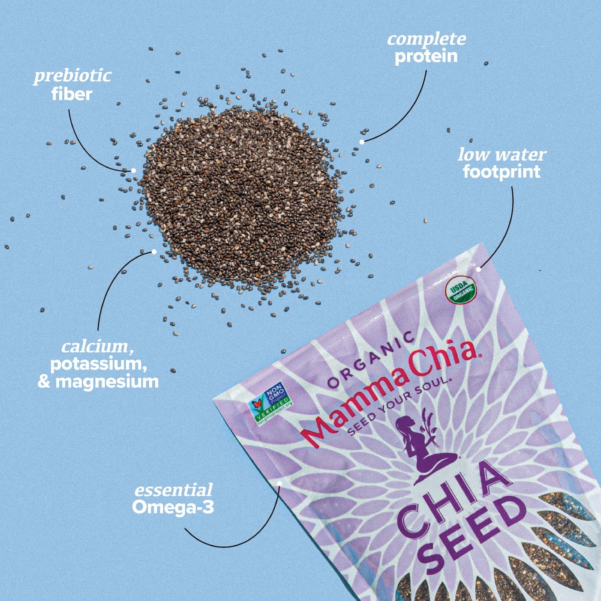 Product image of Mamma Chia Organic Chia Seeds Black 12 oz 12 oz