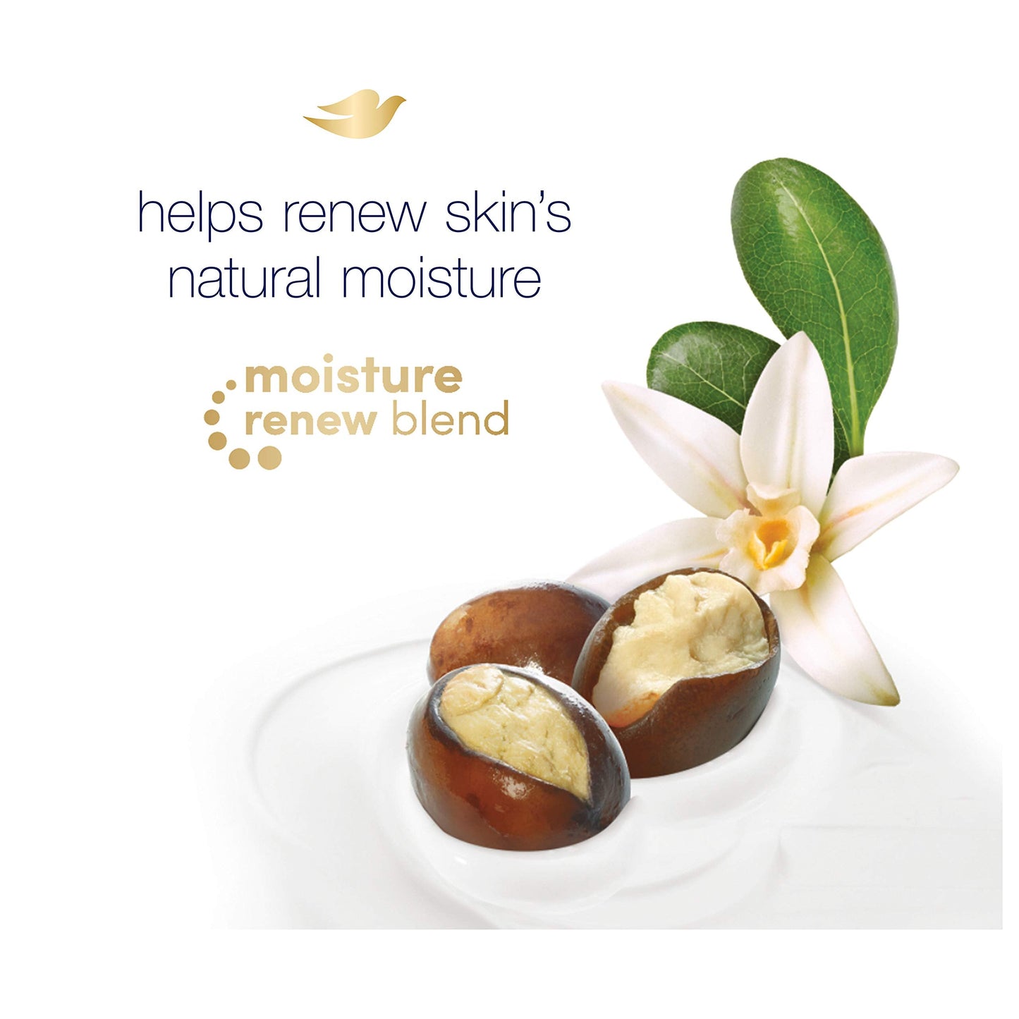 Product image of Dove Body Wash Shea Butter Warm Vanilla Nourishes and Feeds Skin Washes Away Bacteria 22 oz 22 oz Pack of 2