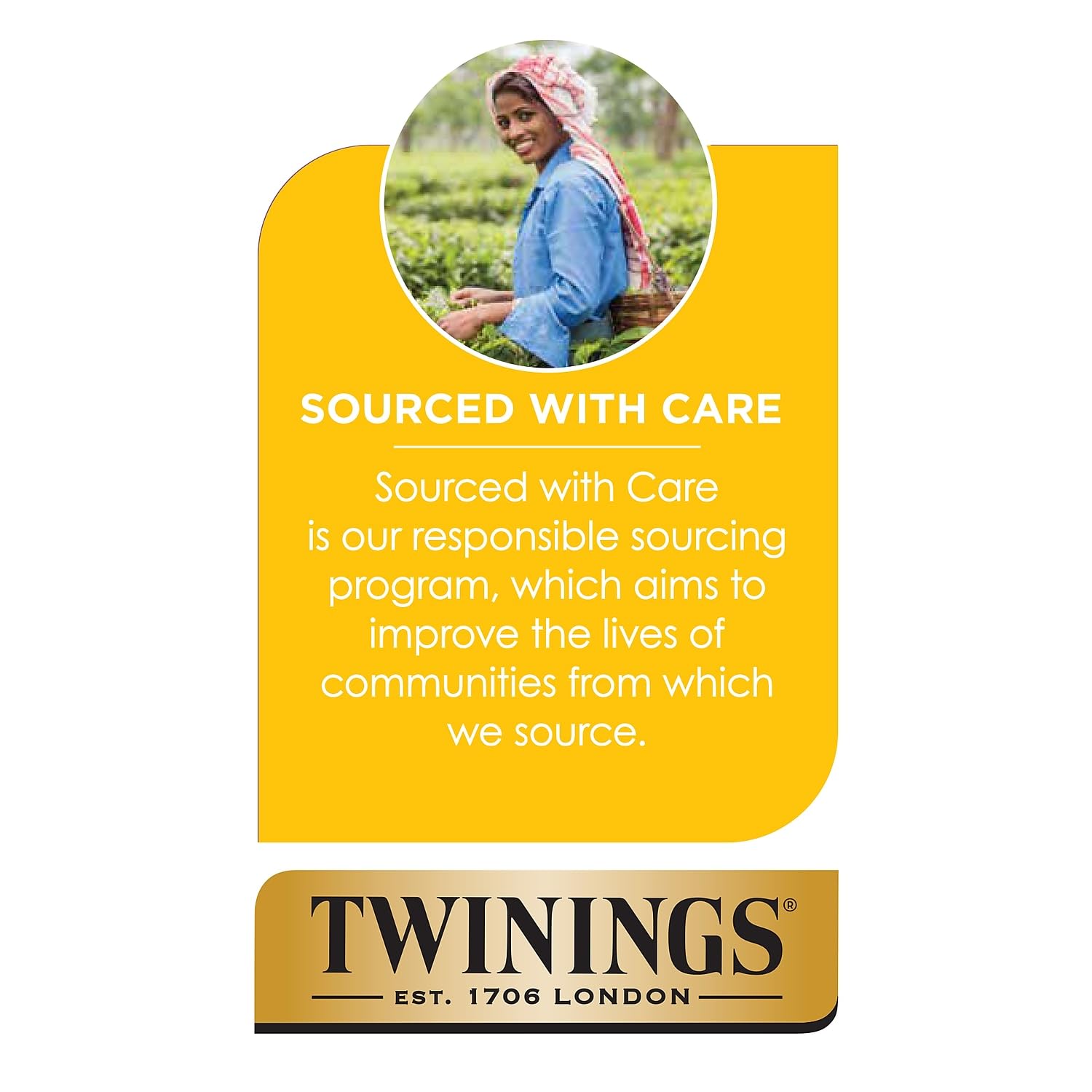 Product image of Twinings Green Tea Bags 1.76 oz 25 ct 1.76 oz 25 Count
