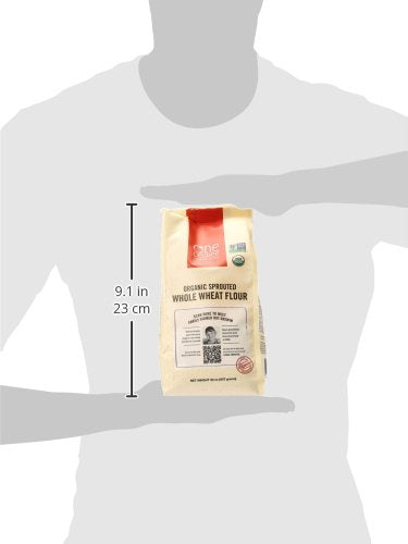 Product image of One Degree Organic Foods Organic Sprouted Whole Wheat Flour 32 oz 32 oz