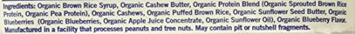 Product image of GoMacro Organic Blueberry Cashew Butter Bar Vegan Gluten-Free Non-GMO Plant-Based Protein 2.3 oz 2.3 oz Pack