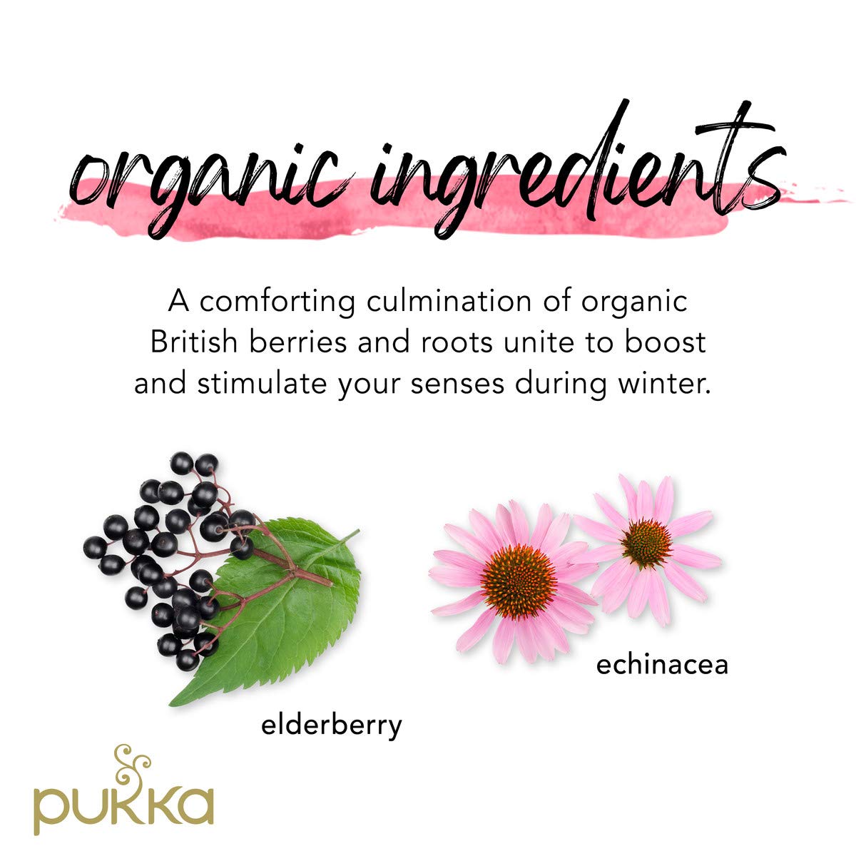 Product image of Pukka Organic Tea Bags Elderberry and Echinacea Herbal Tea Wellness Support 20 ct Tea Bags Pack of 3