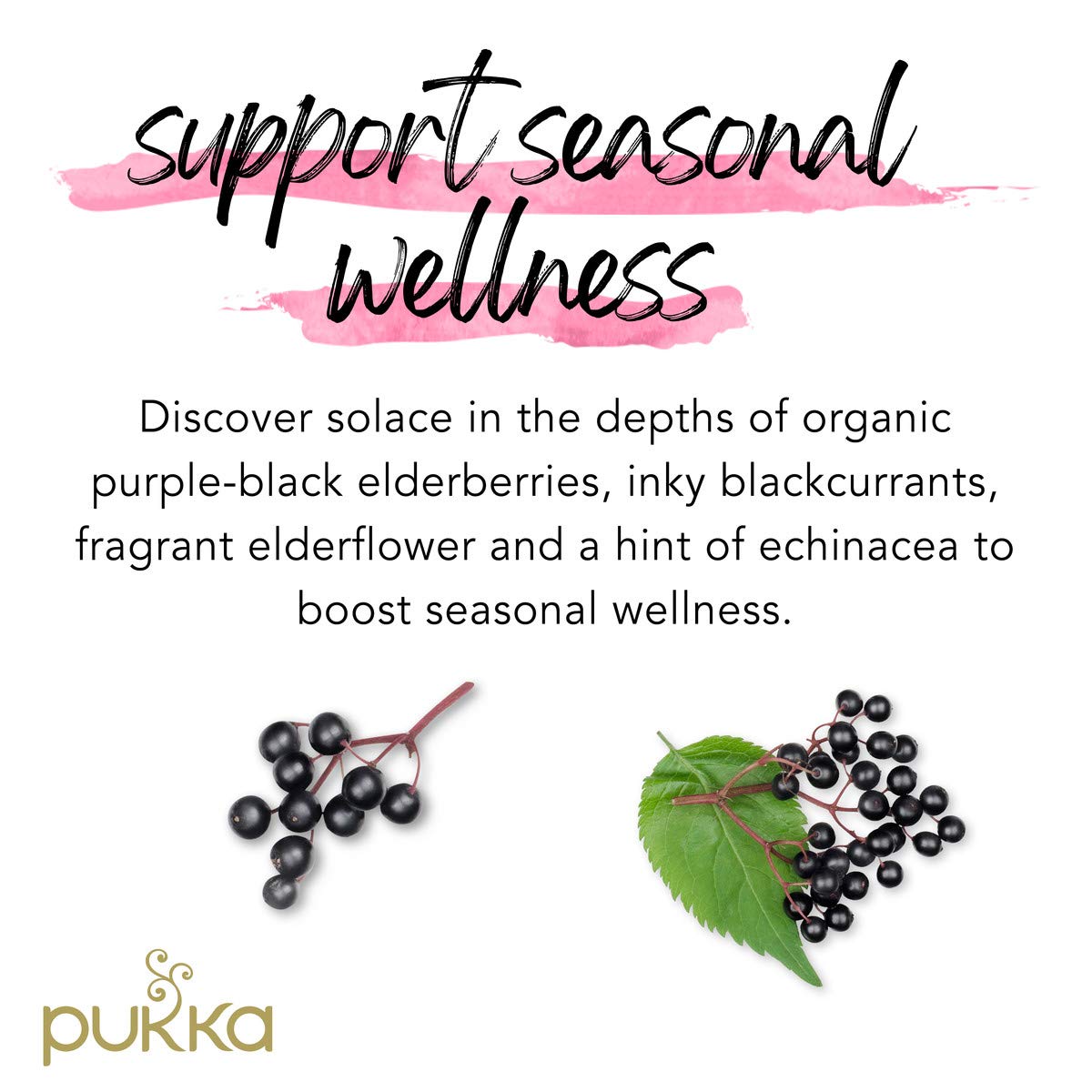 Product image of Pukka Organic Tea Bags Elderberry and Echinacea Herbal Tea Wellness Support 20 ct Tea Bags Pack of 3