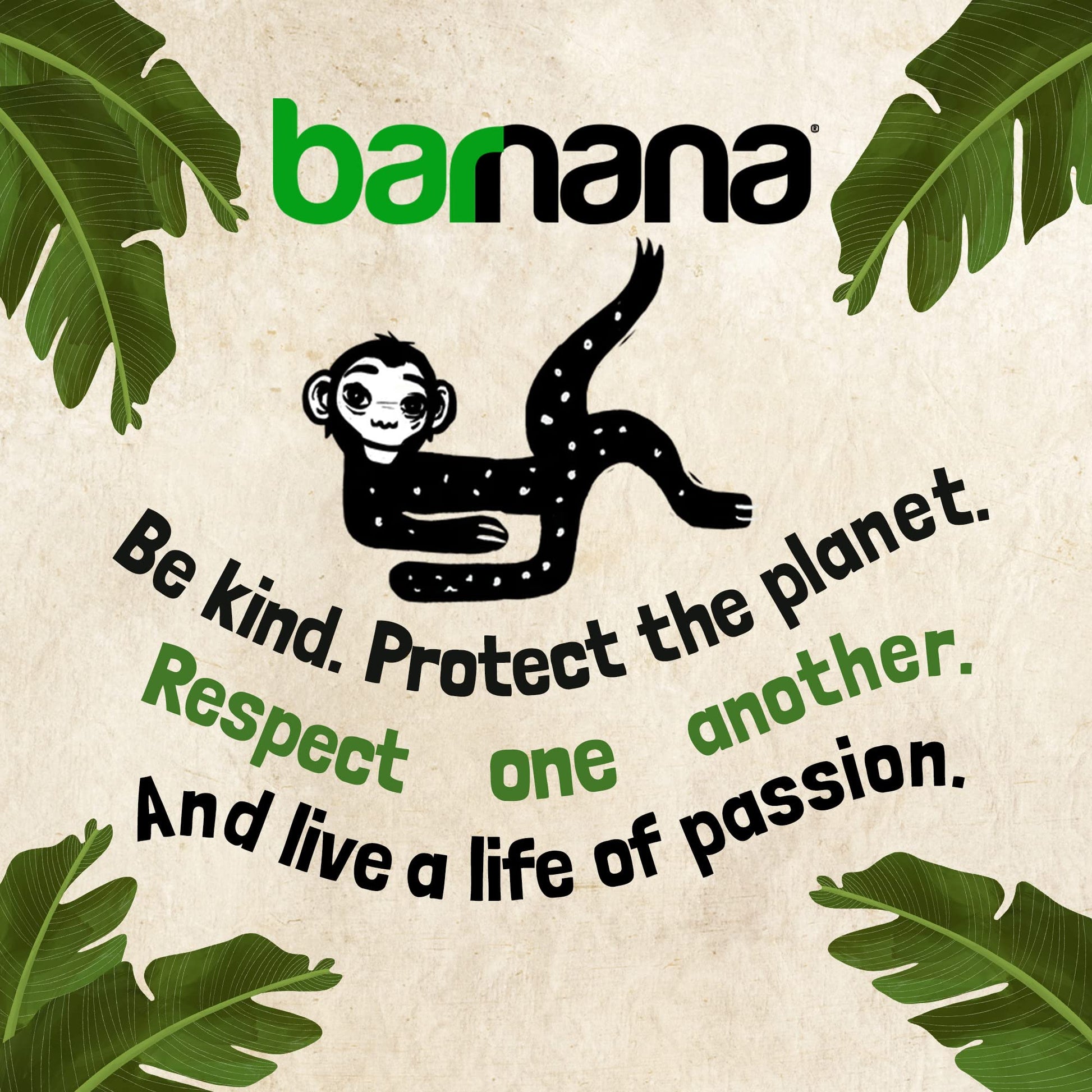 Product image of Barnana Organic Chewy Banana Bites Peanut Butter Dipped in Chocolate Made Real Fruit Kosher USDA Organic