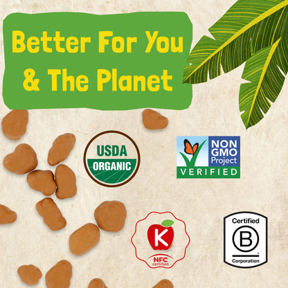 Product image of Barnana Organic Chewy Banana Bites Peanut Butter Dipped in Chocolate Made Real Fruit Kosher USDA Organic