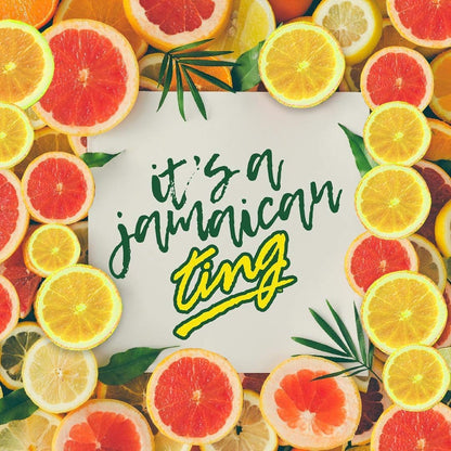 Product image of D and G Ting Sparkling Jamaican Grapefruit Flavored Beverage Bottle Total of 200 Fl Oz 20 oz 200 fl oz Pack