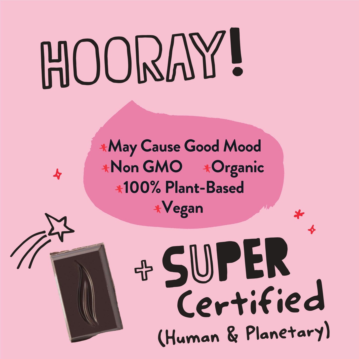 Product image of Pascha Organic No Added Sugar 100% Cacao Cocoa Nibs Chocolate Bars UTZ Gluten Free Non GMO Pack of 5